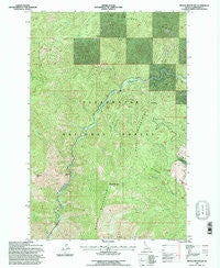 Moose Mountain Idaho Historical topographic map, 1:24000 scale, 7.5 X 7.5 Minute, Year 1994