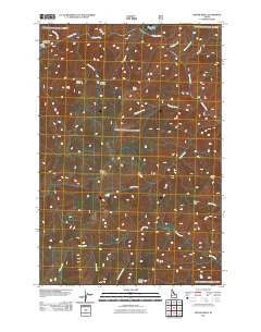 Moose Ridge Idaho Historical topographic map, 1:24000 scale, 7.5 X 7.5 Minute, Year 2011