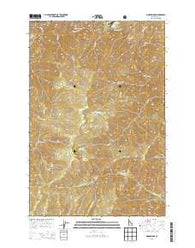 Moose Ridge Idaho Current topographic map, 1:24000 scale, 7.5 X 7.5 Minute, Year 2013