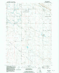 Mora Idaho Historical topographic map, 1:24000 scale, 7.5 X 7.5 Minute, Year 1992