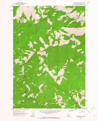 Mormon Mtn Idaho Historical topographic map, 1:24000 scale, 7.5 X 7.5 Minute, Year 1962