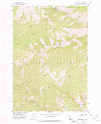 Mormon Mtn Idaho Historical topographic map, 1:24000 scale, 7.5 X 7.5 Minute, Year 1962