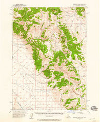 Morrison Lake Montana Historical topographic map, 1:62500 scale, 15 X 15 Minute, Year 1956