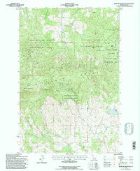 Moscow Mountain Idaho Historical topographic map, 1:24000 scale, 7.5 X 7.5 Minute, Year 1994