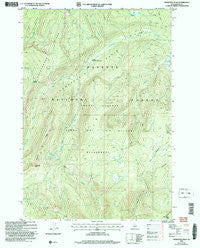 Mosquito Peak Idaho Historical topographic map, 1:24000 scale, 7.5 X 7.5 Minute, Year 2004
