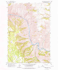 Moughmer Point Idaho Historical topographic map, 1:24000 scale, 7.5 X 7.5 Minute, Year 1963
