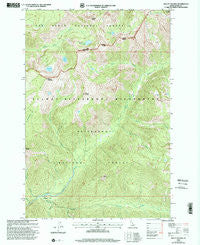 Mount Paloma Idaho Historical topographic map, 1:24000 scale, 7.5 X 7.5 Minute, Year 1998