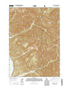 Mount Baird Idaho Current topographic map, 1:24000 scale, 7.5 X 7.5 Minute, Year 2013
