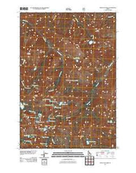 Mount McGuire Idaho Historical topographic map, 1:24000 scale, 7.5 X 7.5 Minute, Year 2011