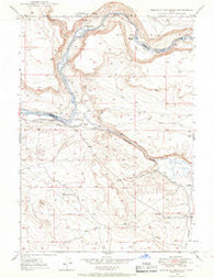 Mouth of Bruneau Idaho Historical topographic map, 1:24000 scale, 7.5 X 7.5 Minute, Year 1946