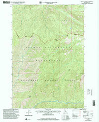 Mt George Idaho Historical topographic map, 1:24000 scale, 7.5 X 7.5 Minute, Year 1998