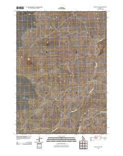 Mule Butte Idaho Historical topographic map, 1:24000 scale, 7.5 X 7.5 Minute, Year 2010