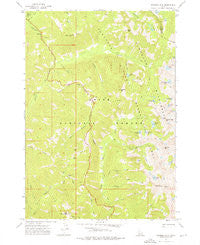 Nahneke Mtn Idaho Historical topographic map, 1:24000 scale, 7.5 X 7.5 Minute, Year 1972