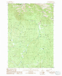 Napoleon Hill Idaho Historical topographic map, 1:24000 scale, 7.5 X 7.5 Minute, Year 1991