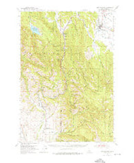 New Meadows Idaho Historical topographic map, 1:62500 scale, 15 X 15 Minute, Year 1954