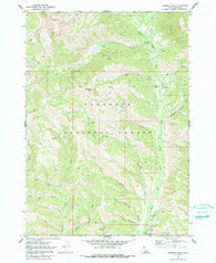 Newman Peak Idaho Historical topographic map, 1:24000 scale, 7.5 X 7.5 Minute, Year 1970