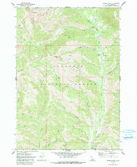 Newman Peak Idaho Historical topographic map, 1:24000 scale, 7.5 X 7.5 Minute, Year 1970