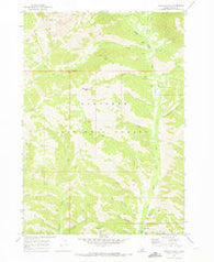Newman Peak Idaho Historical topographic map, 1:24000 scale, 7.5 X 7.5 Minute, Year 1970