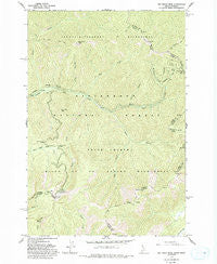 Nez Perce Peak Idaho Historical topographic map, 1:24000 scale, 7.5 X 7.5 Minute, Year 1962