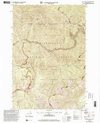 Nez Perce Peak Idaho Historical topographic map, 1:24000 scale, 7.5 X 7.5 Minute, Year 1998
