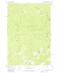 Nez Perce Peak Idaho Historical topographic map, 1:24000 scale, 7.5 X 7.5 Minute, Year 1962