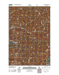 Nez Perce Peak Idaho Historical topographic map, 1:24000 scale, 7.5 X 7.5 Minute, Year 2011