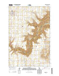 Nezperce Idaho Current topographic map, 1:24000 scale, 7.5 X 7.5 Minute, Year 2013