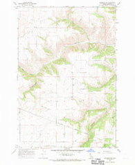 Nezperce SE Idaho Historical topographic map, 1:24000 scale, 7.5 X 7.5 Minute, Year 1967