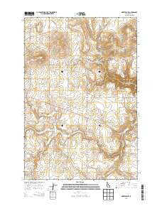 Nezperce SW Idaho Current topographic map, 1:24000 scale, 7.5 X 7.5 Minute, Year 2013