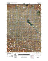 Nicholia Idaho Historical topographic map, 1:24000 scale, 7.5 X 7.5 Minute, Year 2011