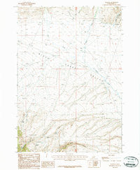 Nicholia Idaho Historical topographic map, 1:24000 scale, 7.5 X 7.5 Minute, Year 1987