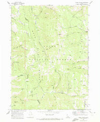 North Canyon Idaho Historical topographic map, 1:24000 scale, 7.5 X 7.5 Minute, Year 1969
