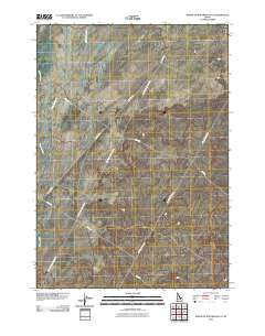 North of Ryegrass Flat Idaho Historical topographic map, 1:24000 scale, 7.5 X 7.5 Minute, Year 2010