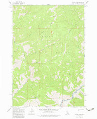 Norton Ridge Idaho Historical topographic map, 1:24000 scale, 7.5 X 7.5 Minute, Year 1962