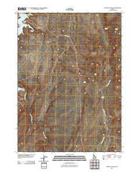 Norton Canyon Idaho Historical topographic map, 1:24000 scale, 7.5 X 7.5 Minute, Year 2010