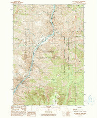 Old Timer Mtn. Idaho Historical topographic map, 1:24000 scale, 7.5 X 7.5 Minute, Year 1990
