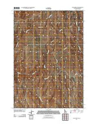 Olds Ferry NE Idaho Historical topographic map, 1:24000 scale, 7.5 X 7.5 Minute, Year 2011