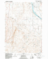 Opalene Gulch Idaho Historical topographic map, 1:24000 scale, 7.5 X 7.5 Minute, Year 1992