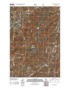 Oro Mountain Idaho Historical topographic map, 1:24000 scale, 7.5 X 7.5 Minute, Year 2011