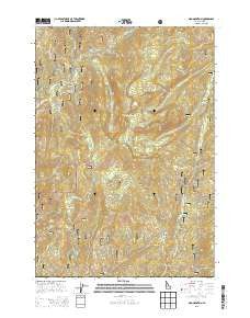 Oro Mountain Idaho Current topographic map, 1:24000 scale, 7.5 X 7.5 Minute, Year 2013