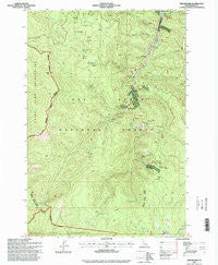 Orogrande Idaho Historical topographic map, 1:24000 scale, 7.5 X 7.5 Minute, Year 1995