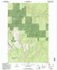 Osier Ridge Idaho Historical topographic map, 1:24000 scale, 7.5 X 7.5 Minute, Year 1994