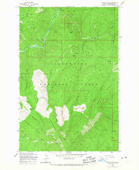 Osier Ridge Idaho Historical topographic map, 1:24000 scale, 7.5 X 7.5 Minute, Year 1965