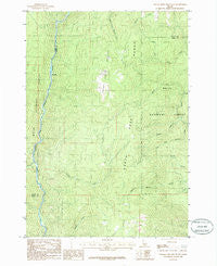 Packer John Mountain Idaho Historical topographic map, 1:24000 scale, 7.5 X 7.5 Minute, Year 1985