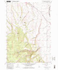Packsaddle Lake Idaho Historical topographic map, 1:24000 scale, 7.5 X 7.5 Minute, Year 1965