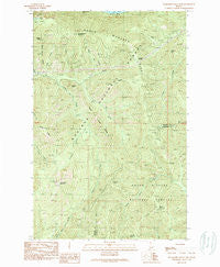 Packsaddle Mountain Idaho Historical topographic map, 1:24000 scale, 7.5 X 7.5 Minute, Year 1989