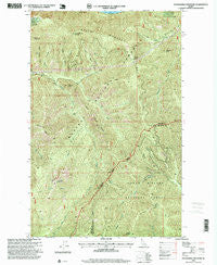 Packsaddle Mountain Idaho Historical topographic map, 1:24000 scale, 7.5 X 7.5 Minute, Year 1996
