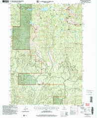Paddy Flat Idaho Historical topographic map, 1:24000 scale, 7.5 X 7.5 Minute, Year 2004