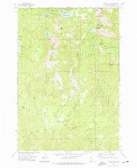 Paddy Flat Idaho Historical topographic map, 1:24000 scale, 7.5 X 7.5 Minute, Year 1973