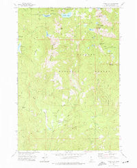 Paddy Flat Idaho Historical topographic map, 1:24000 scale, 7.5 X 7.5 Minute, Year 1973